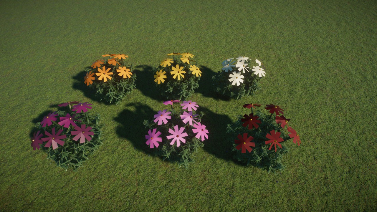 Custom Daisies preview