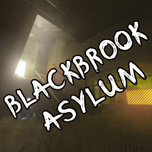 BLACKBROOK ASYLUM