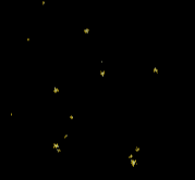 Sky Stars look like Fallen Stars