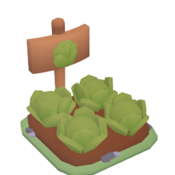 Cabbage Plant