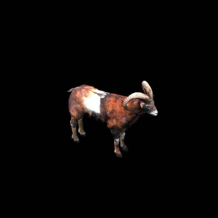 Brown Goat Animated