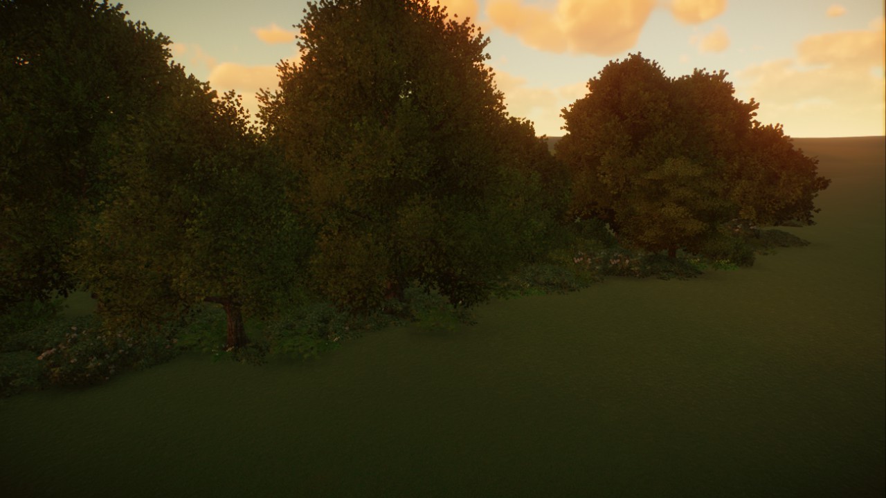 Temperate Treeline preview