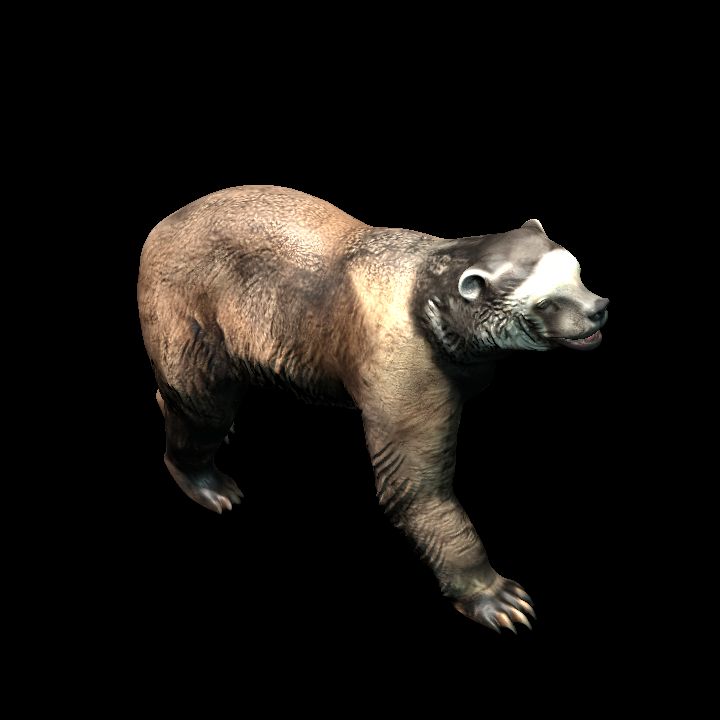 Short-faced Bear   