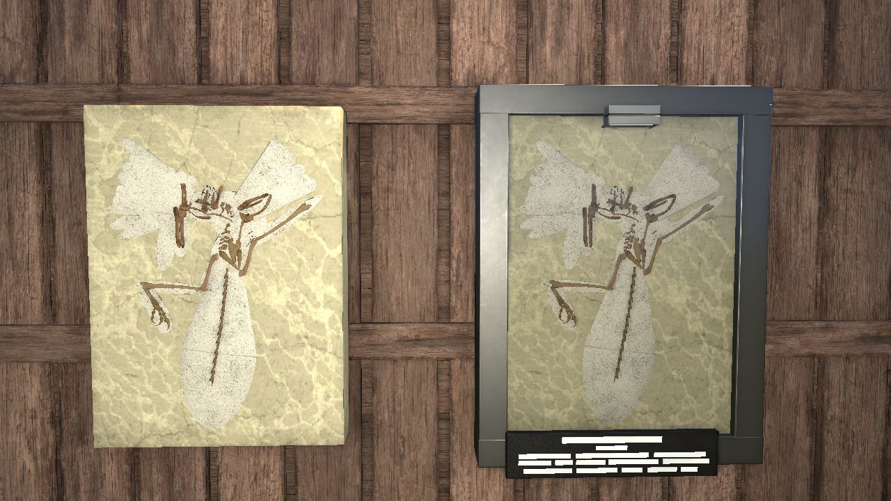 Archaeopteryx fossil-London specimen