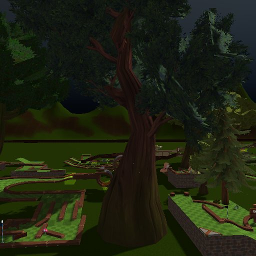 Night Forest (1)