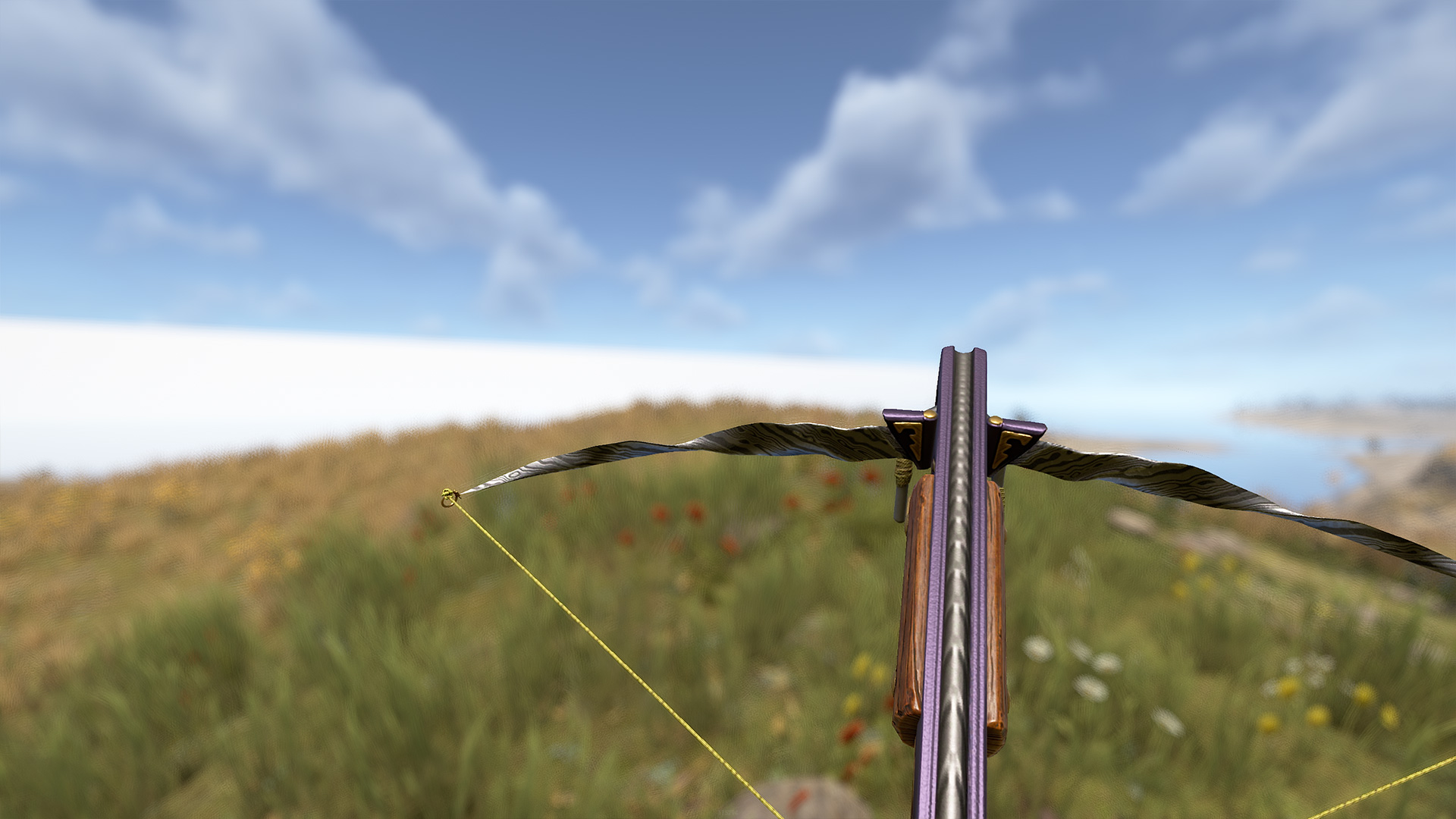 Swirled Crossbow
