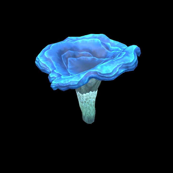 Mushroom_04