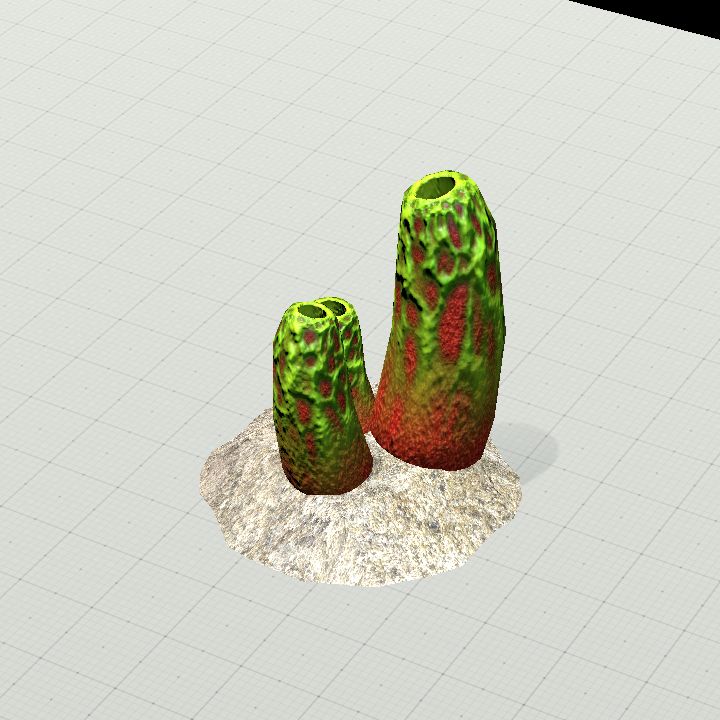 Coral #6