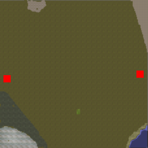 Night_Forest