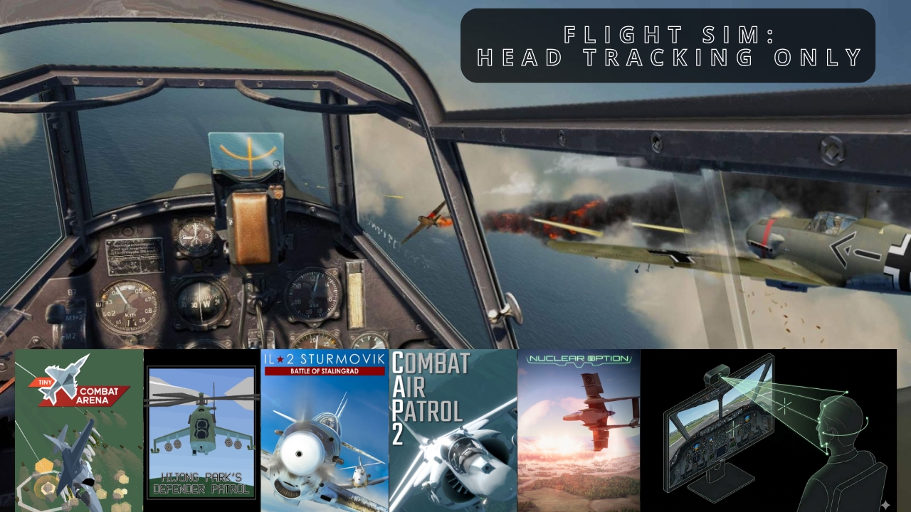 Flight Sim - Head Tracking Only