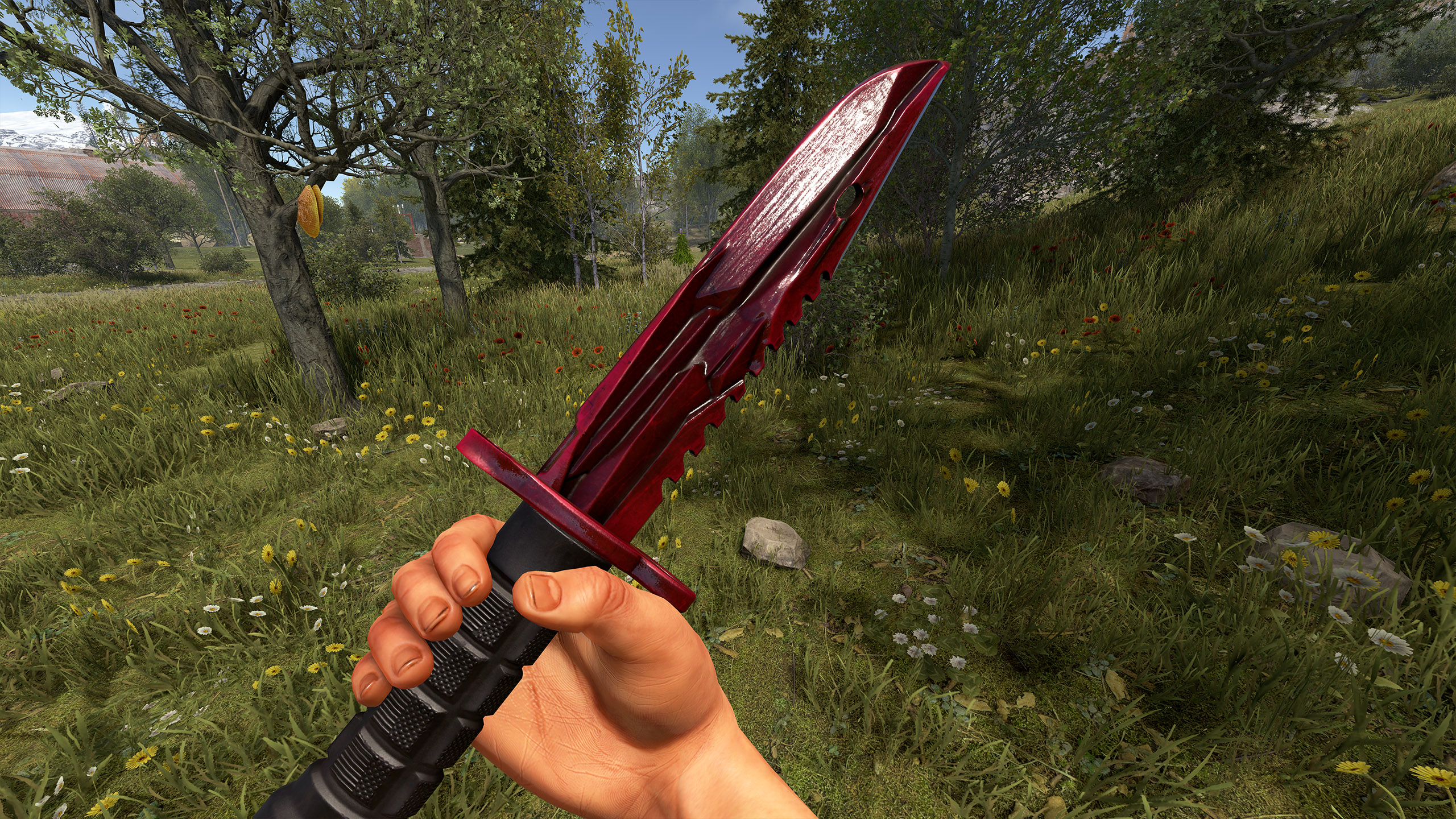 Natural Ruby Knife thumbnail 2