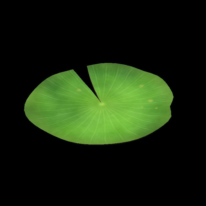 Water Lily – Large