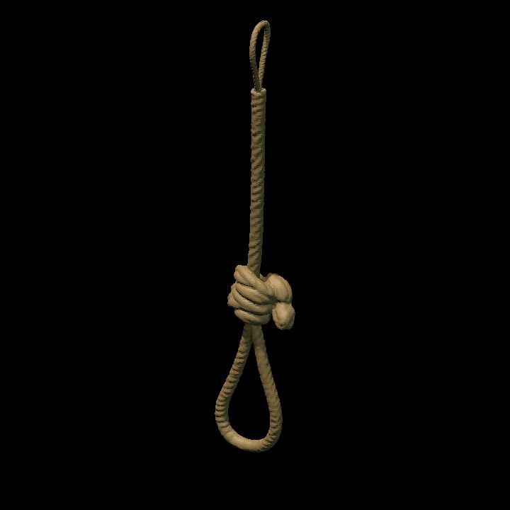 Simple rope noose - short looped