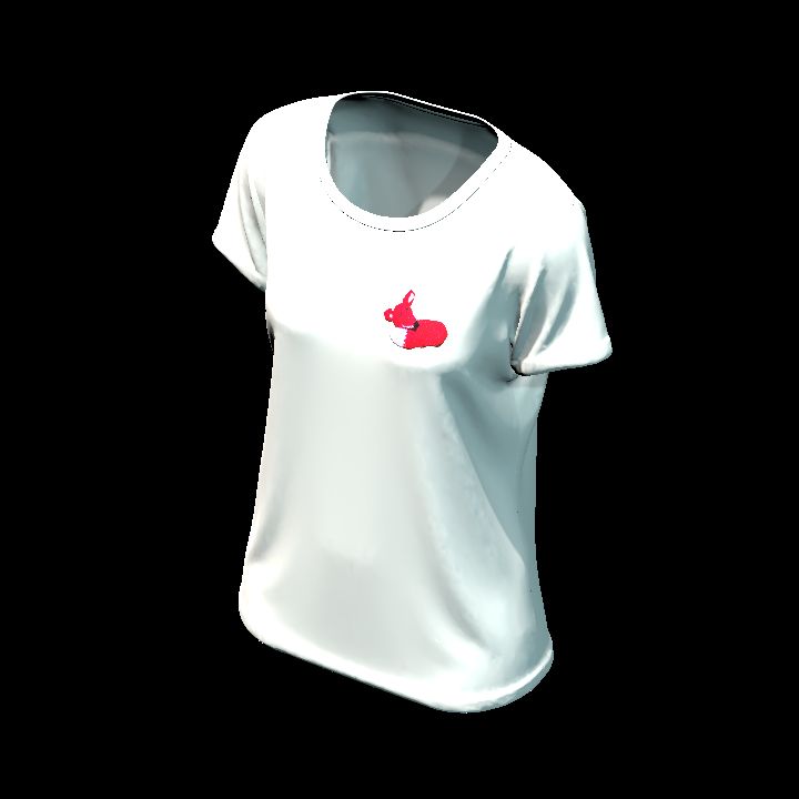 Shirt customised 38