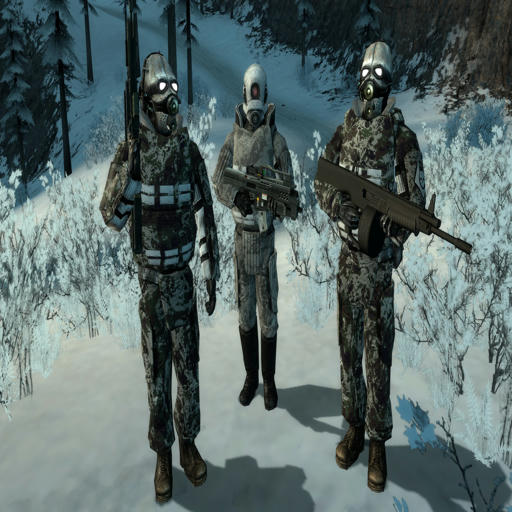 Combine CMB Camouflage Reskin [Snow]
