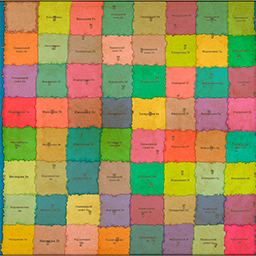 The World of Chess - The First Game Era