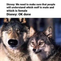 disney wolves