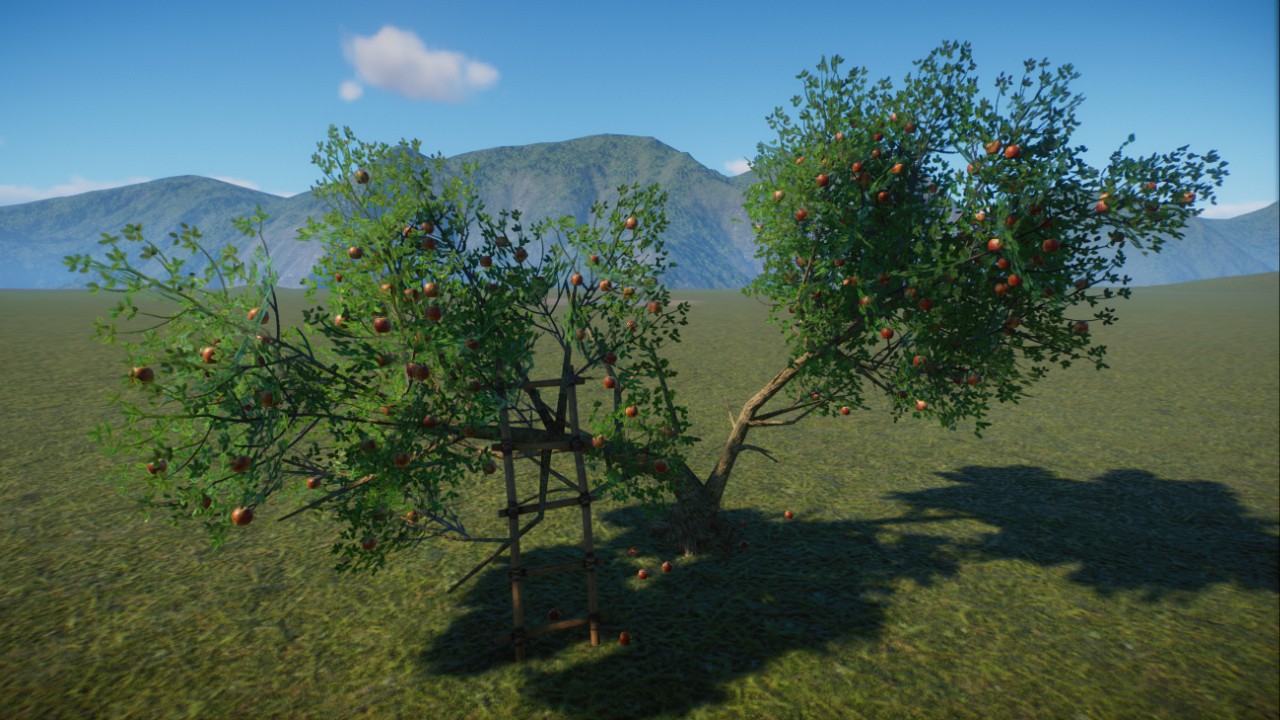 Apple tree with ladder, Apfelbaum mit Leiter