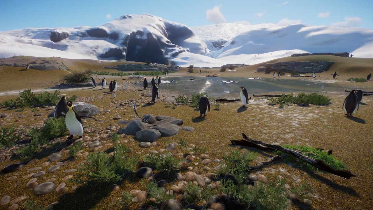 Real World Emperor Penguin Habitat