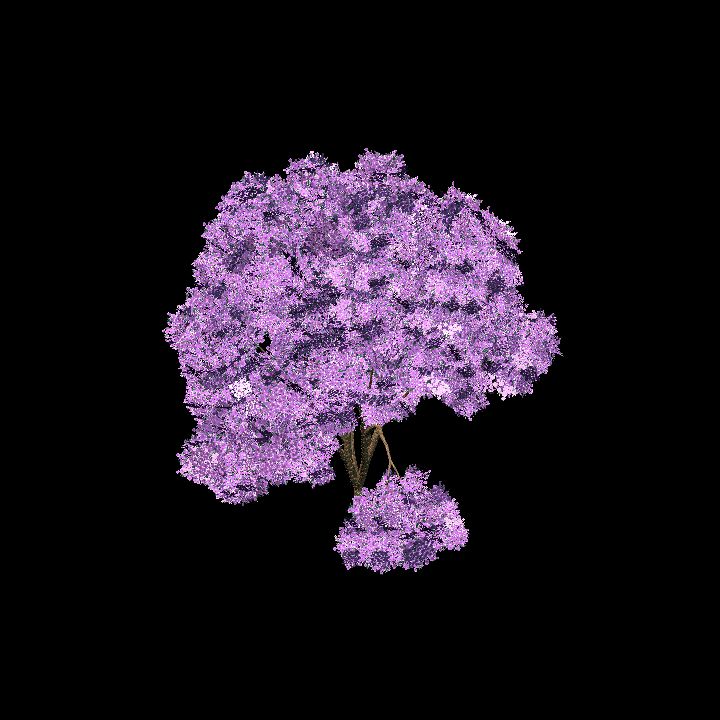 PurpleFlowerTree