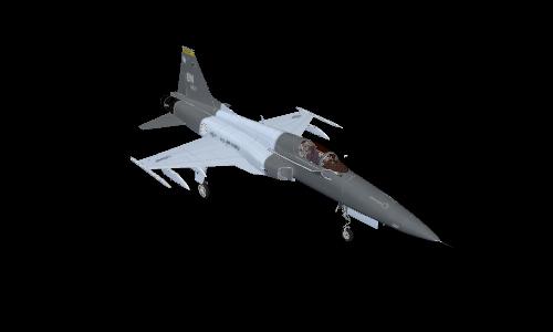80th Flying Training Wing