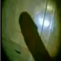 coЛЬ