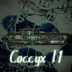 Coccyx T1