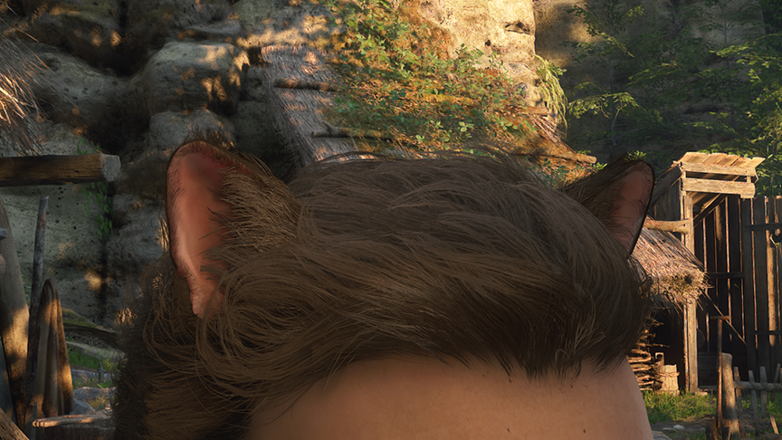 Custom Cat Ears Accessory
