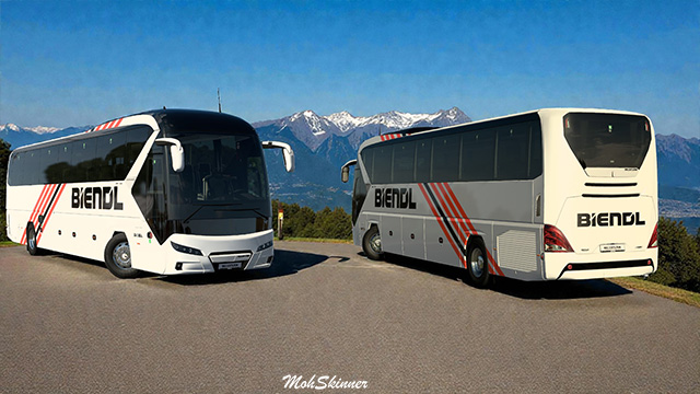 Biendl Reisen Gmbh [Skin]