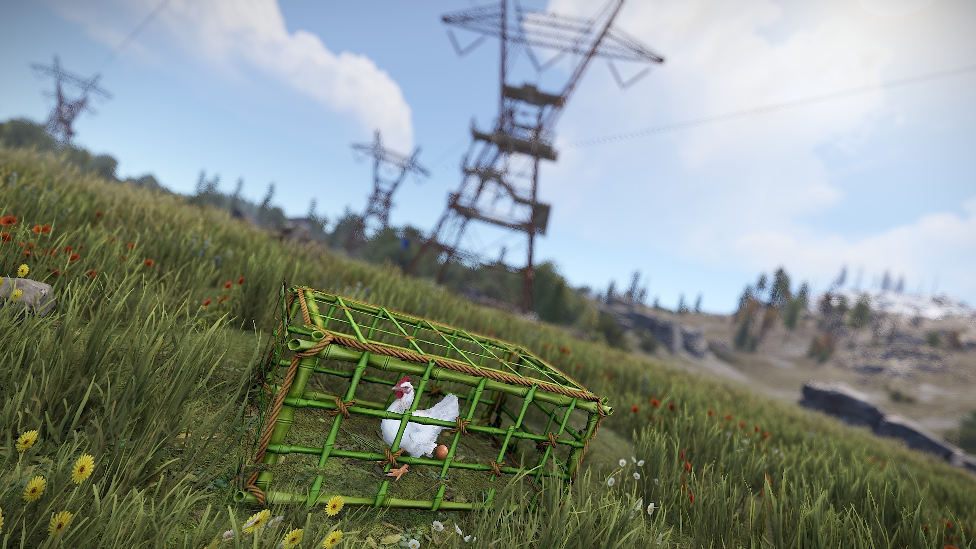 Bamboo Cage Large thumbnail 9