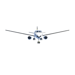 EMBRAER X BLACK LEGION AIR LIVERIE CUTE