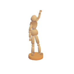 Figure Manikin