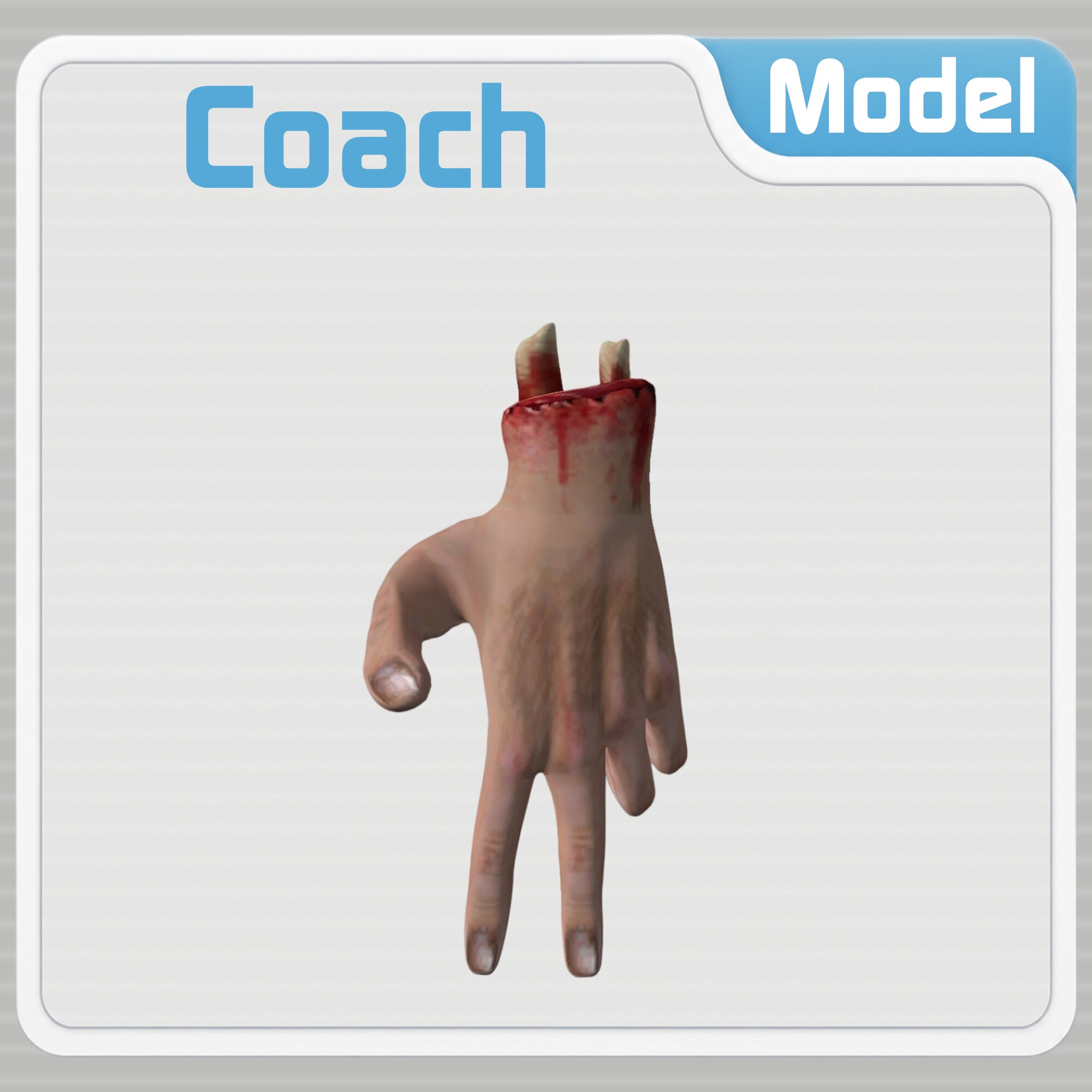 Coach: The Hand