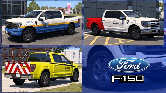 Ford F-150 Skinpack