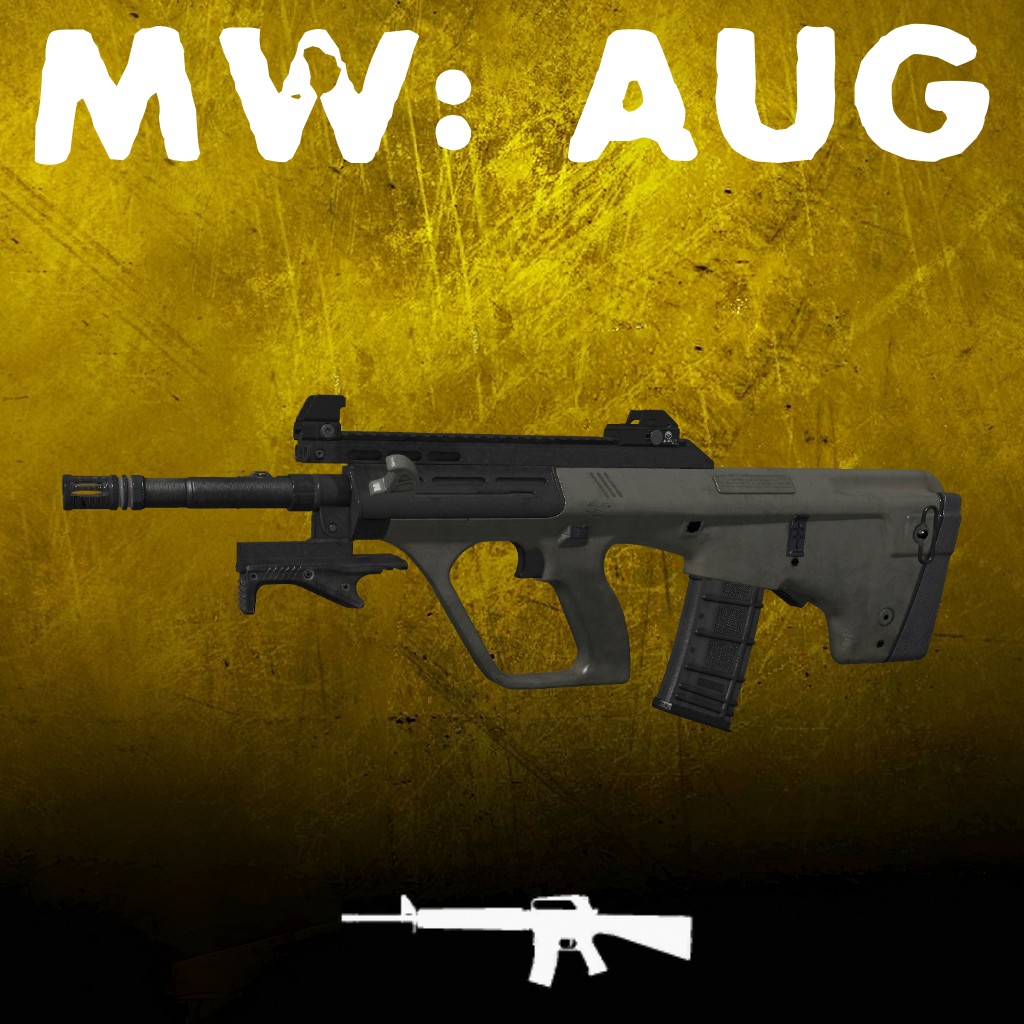 MW19: AUG (M16)