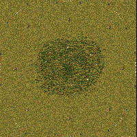 The Grass Is Greener