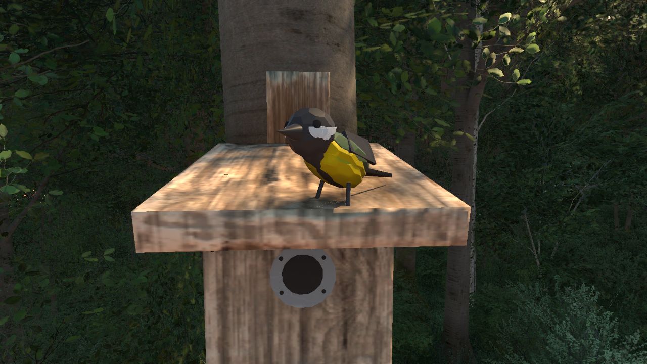 Great tit (Parus major)