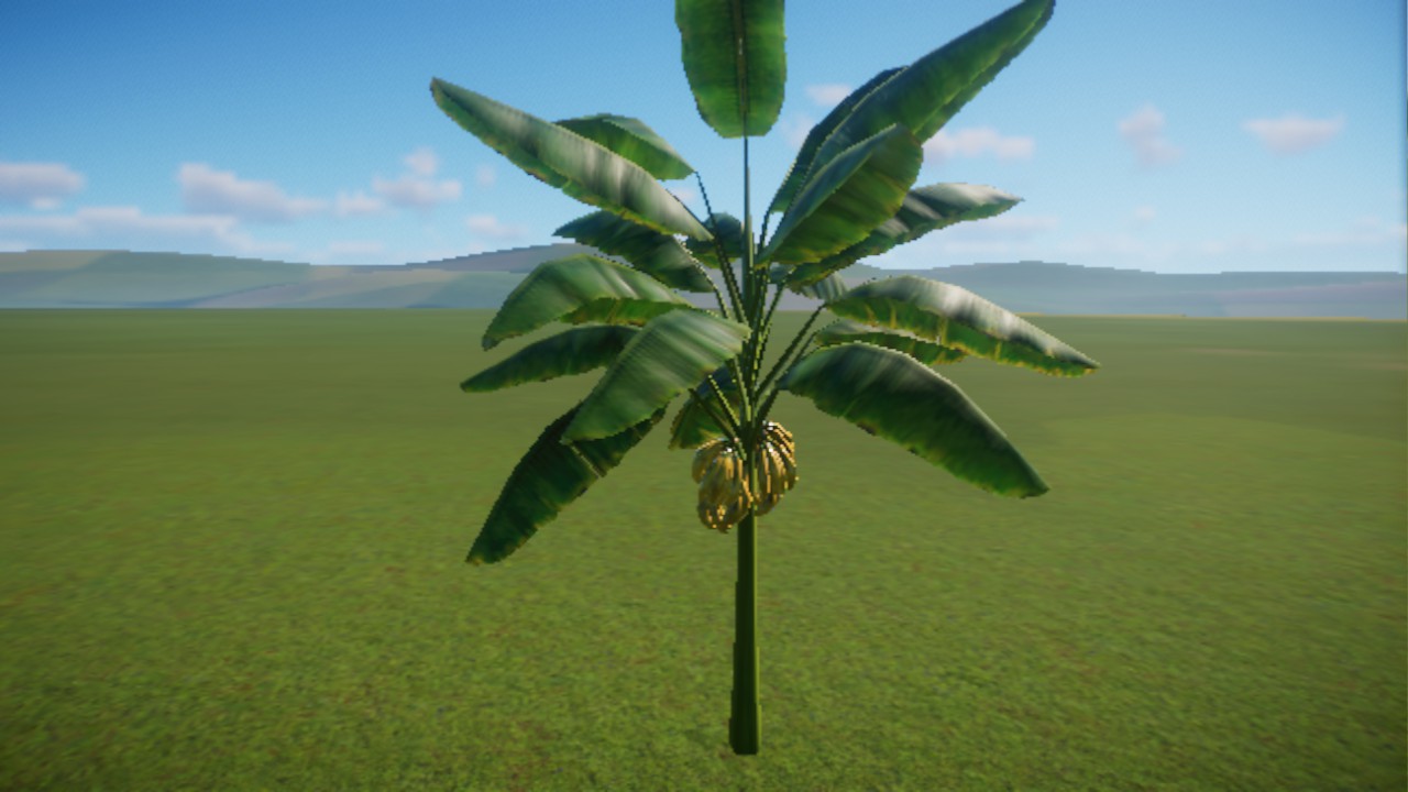 Platanero