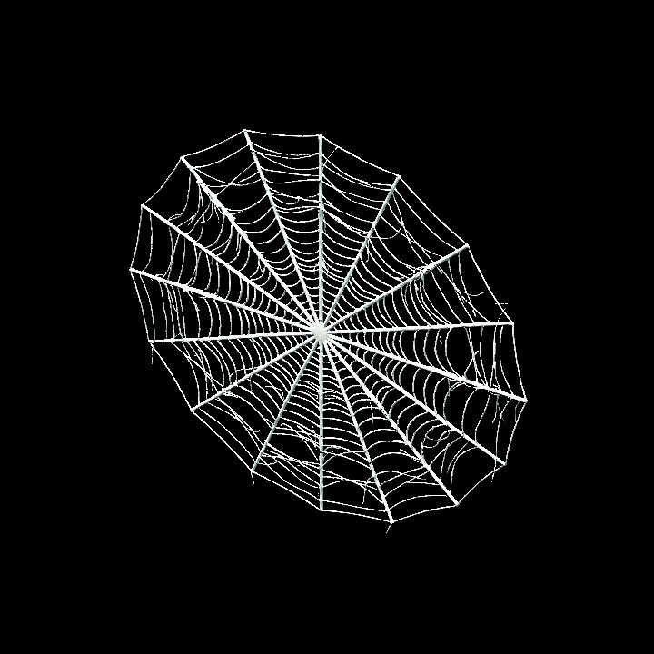 Wall Web 1