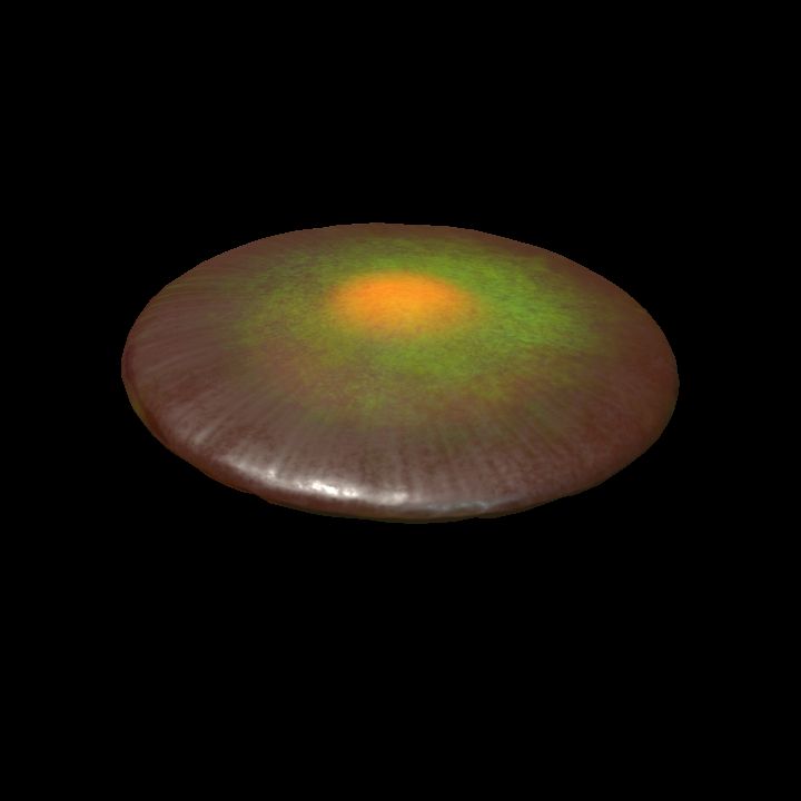 Mushroom_Middle_1_4
