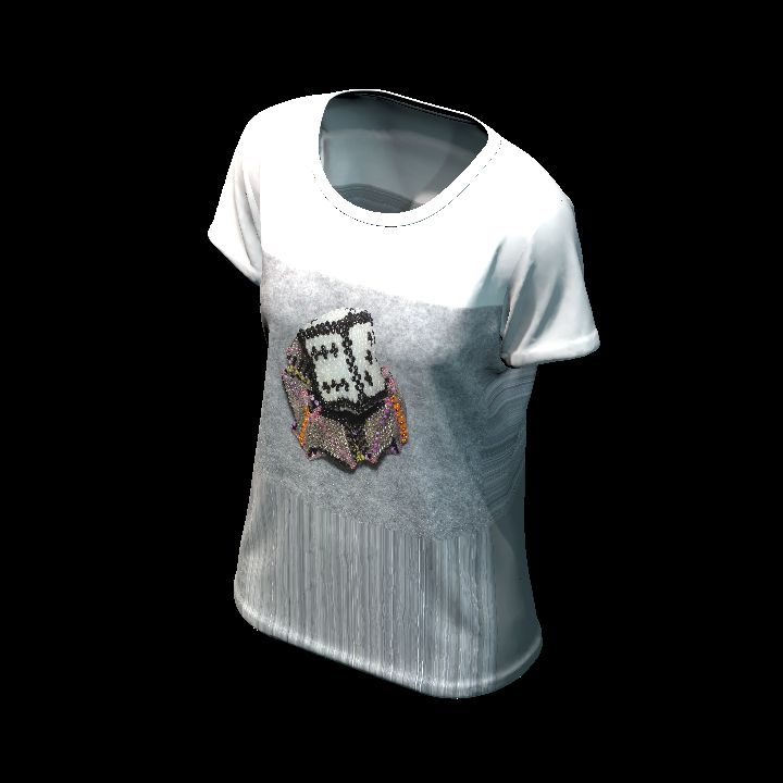 Shirt customised 35