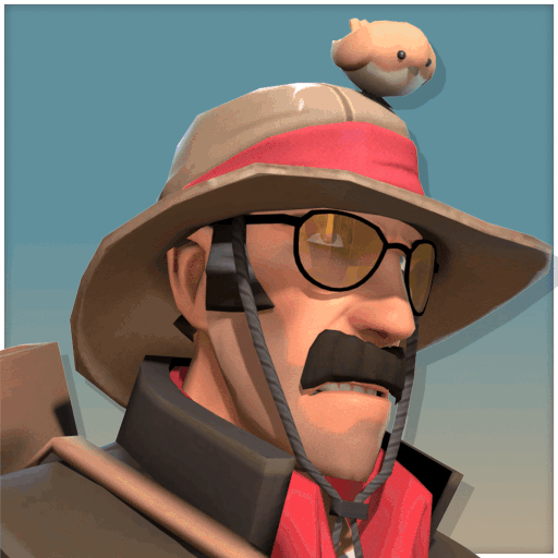 TF2: Bushland Birder
