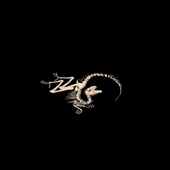 Dinosaur Bones