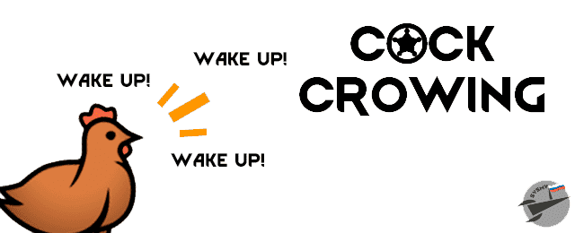 Cock Crowing