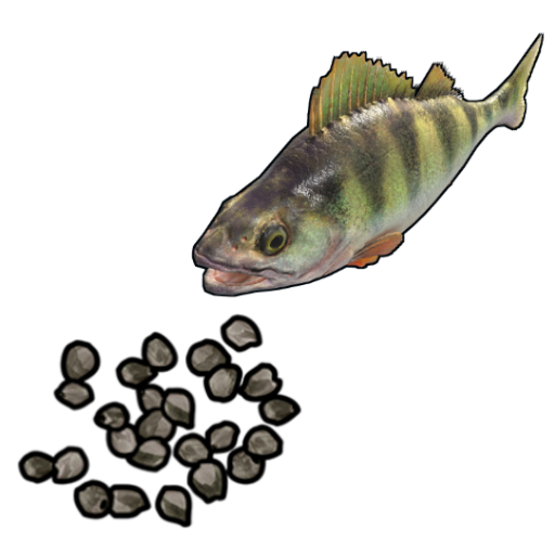 Yellow Perch Seed