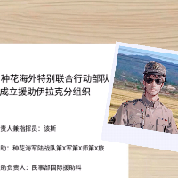 穷兵独武：极限兵力