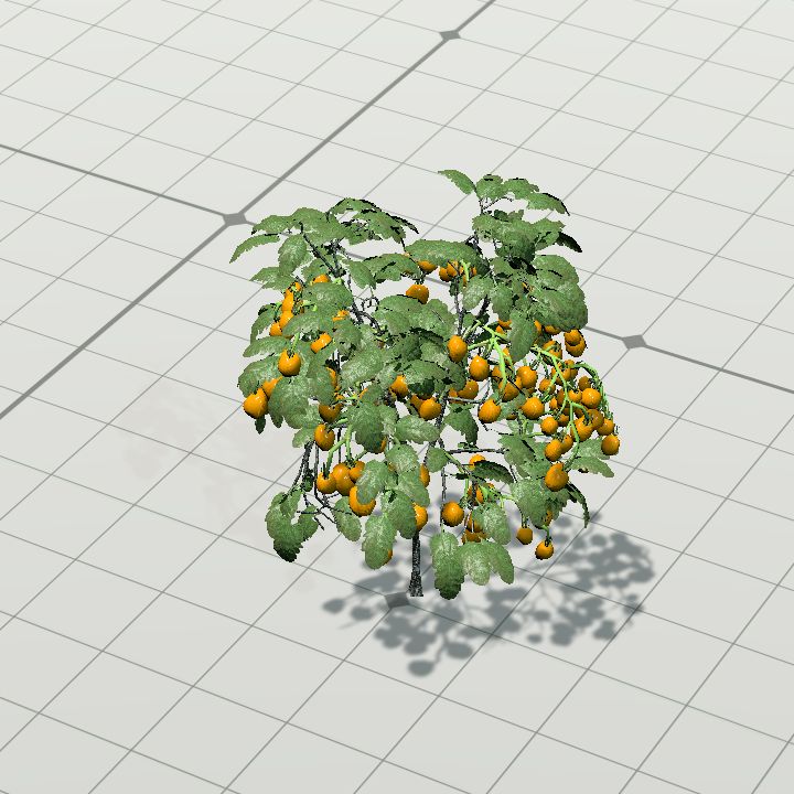 OrangeFruit
