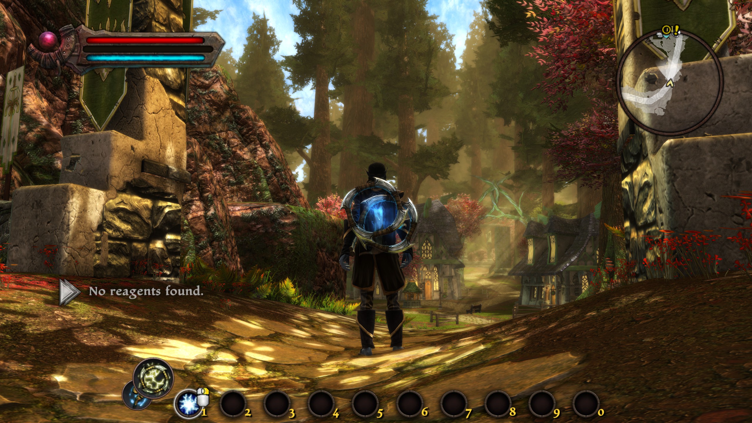 Kingdoms of Amalur: Re-Reckoning gameplay screenshot 2