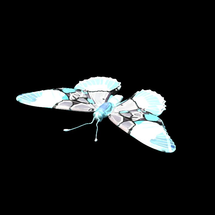 Butterfly 10