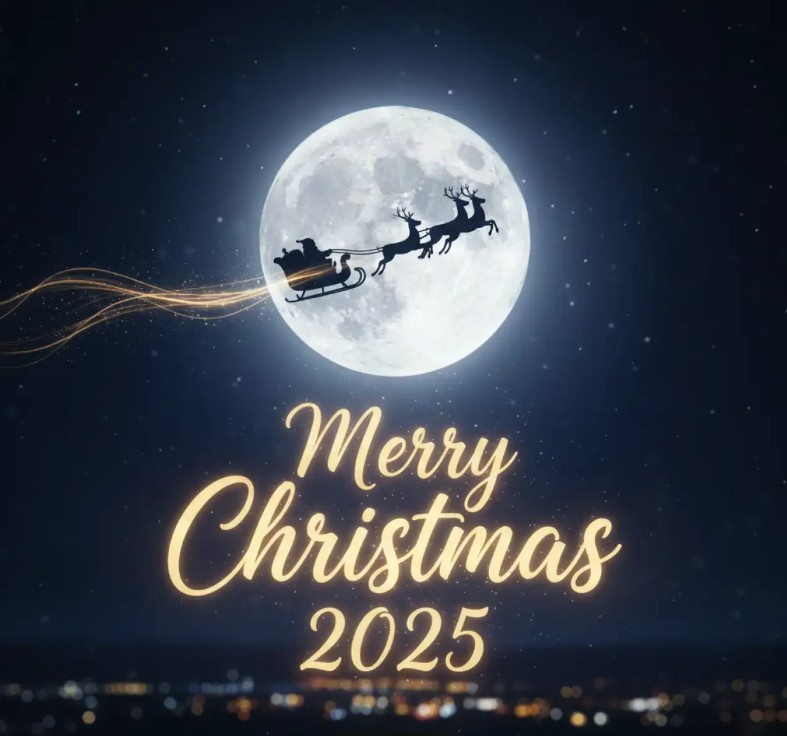 Merry Christmas/Happy New Year